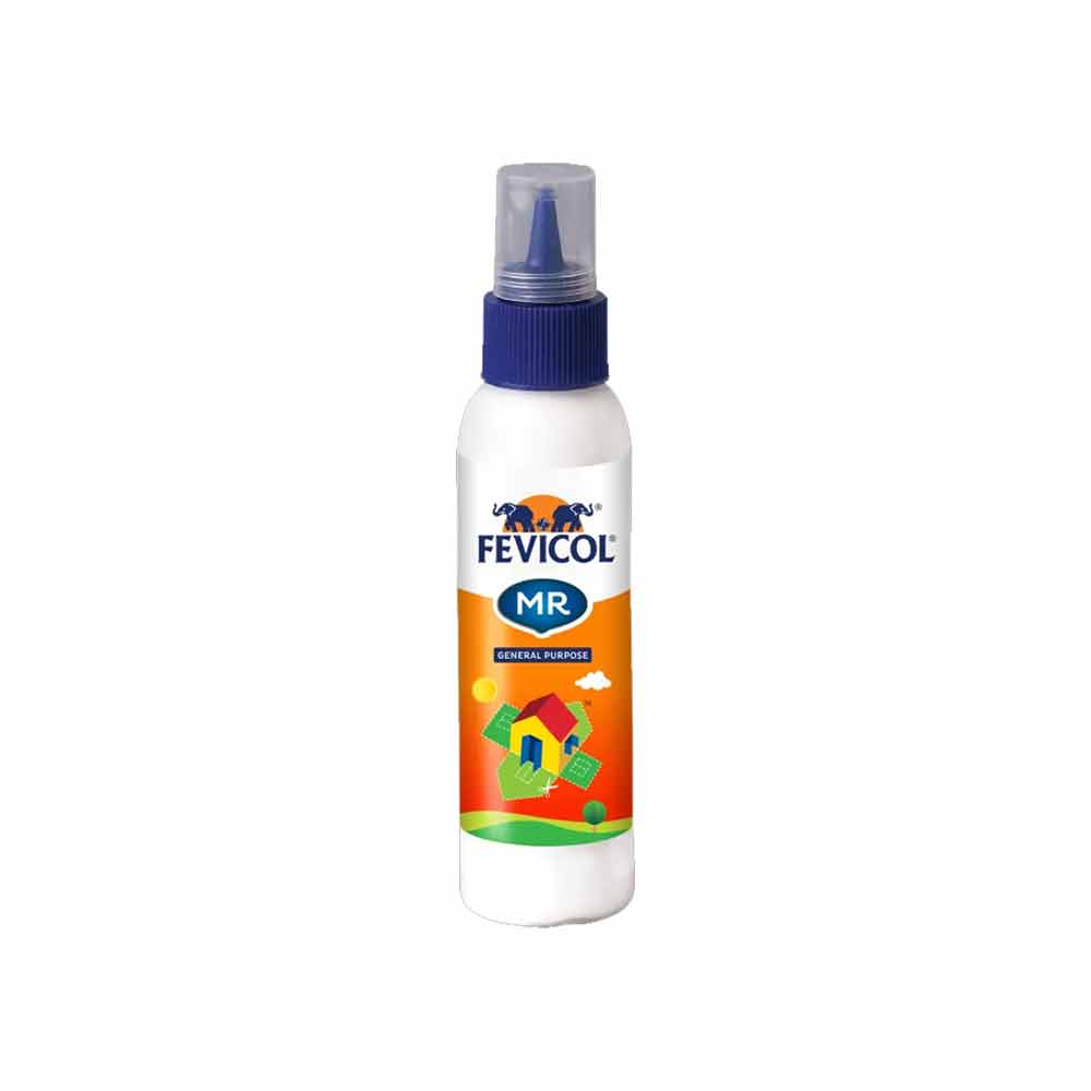 Fevicol 22.5g